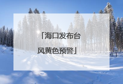 海口发布台风黄色预警